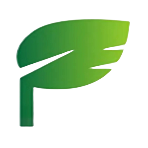 FVISION LANDSCAPING LLC